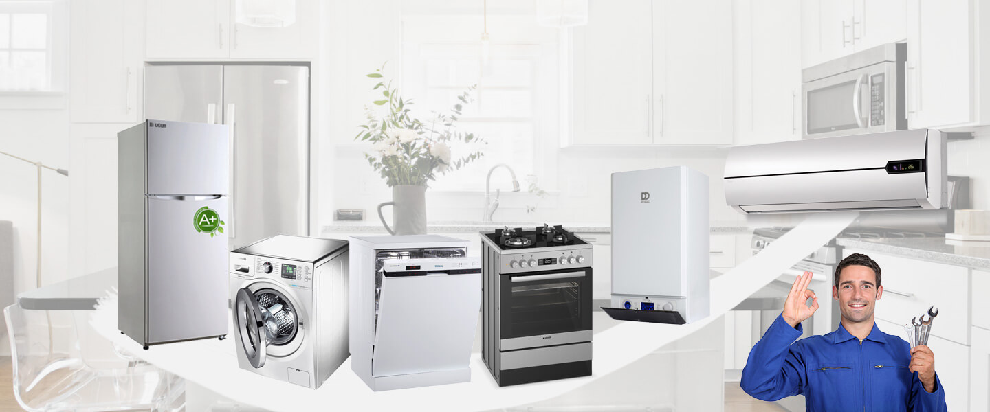 Ereğli Electrolux Servisi